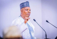An faɗa wa Shugaba Tinubu Cewa Ina Kitsa Yadda Zan Kashe Shi – Shettima
