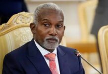 Har yanzu sojojin Najeriya 11 na Burkina Faso – Tugga