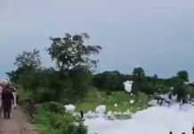 Binciken Gaskiya: Shin Gajimaren ne ya ɓulɓulowa ƙasa a Hanyar Abuja Zuwa Kaduna?