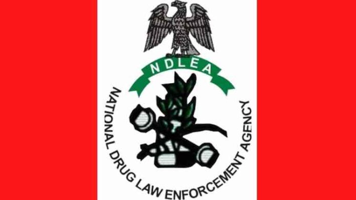 ndlea (1)