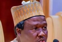 Wazirin Tinubu: Tasiri da Karfin Ibrahim Masari, na Umar Farouk Bala Ibrahim-Kabir-Masari-Special-Adviser-to-President-Bola-Ahmed-Tinubu-on-Political-Affairs-